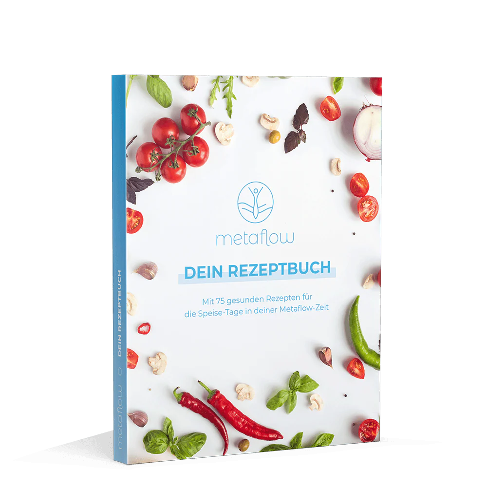 Das MetaFlow Rezeptbuch